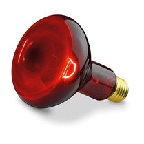 Beurer 614.51 100 Watt Spare Bulb for Infrared Lamp