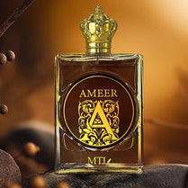 MTJ Ameer EDP 100ml Perfume For Men