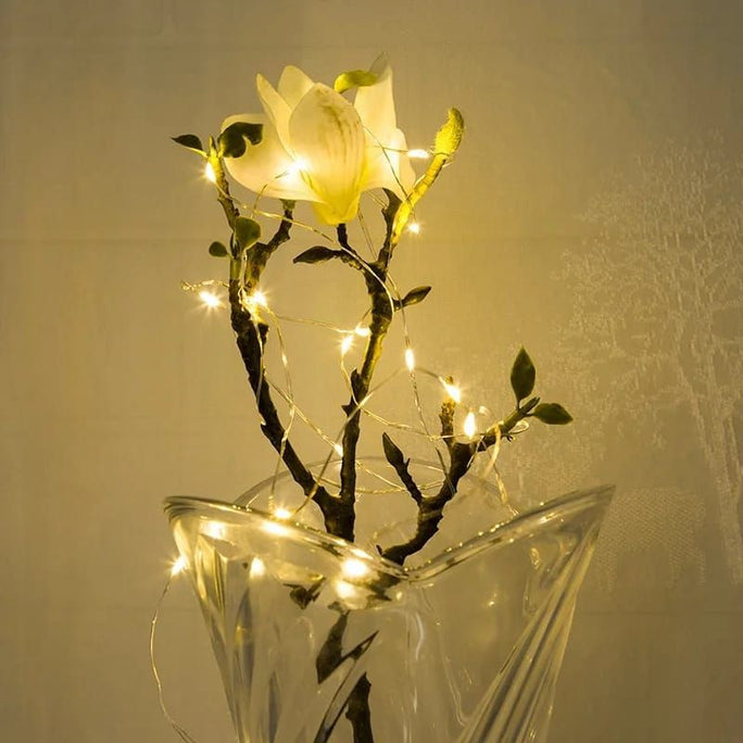 LED String Light 20 Led
