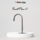 Glam Gas Flow-11 Stainless Steel Pull Out Faucet