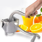 Silver Metal Manual Fruit Press