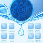 Toilet Bowl Cleaning Tablets ( Pack Of 10 )